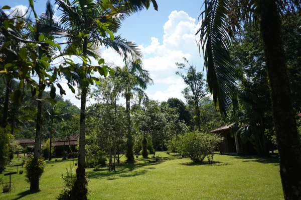Jardins de Monte Crista, ao pé da montanha