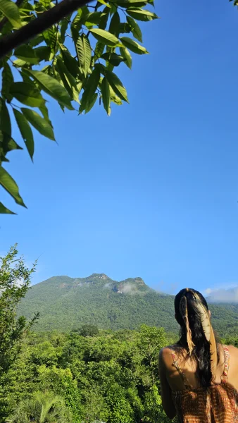 O cume do Monte Crista visto entre folhas, com o céu limpo